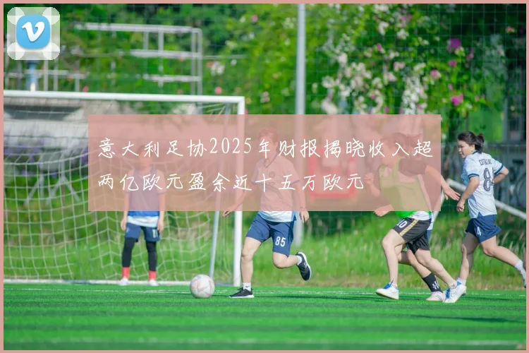 意大利足协2025年财报揭晓收入超两亿欧元盈余近十五万欧元