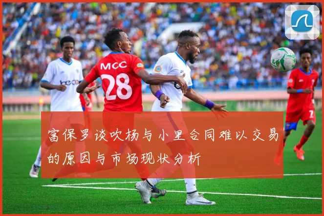 富保罗谈吹杨与小里合同难以交易的原因与市场现状分析