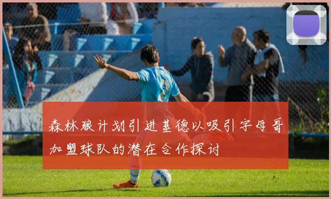 森林狼计划引进基德以吸引字母哥加盟球队的潜在合作探讨