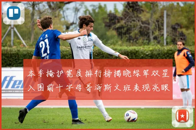 本季掩护宽度排行榜揭晓绿军双星入围前十字母哥海斯文班表现亮眼